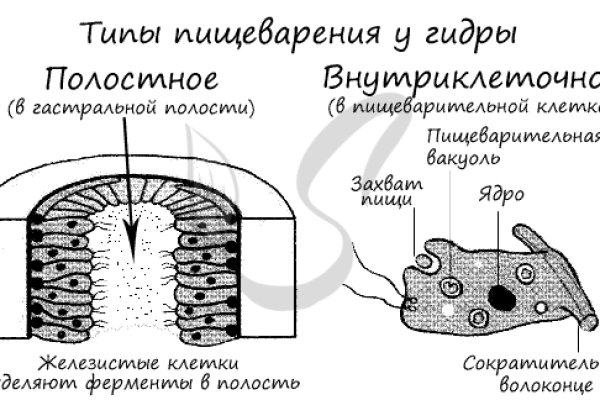 Блэк спрут зайти