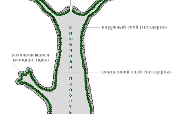 Блэкспрут ссылка клаб