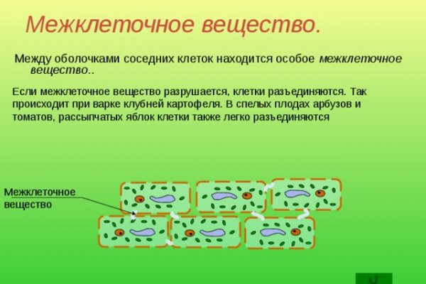 Блэк спрут как зайти bs2web top